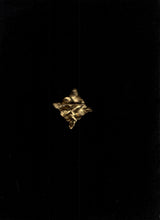 Muat gambar ke penampil Galeri, Rempa 04 Brooch
