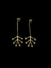 Muat gambar ke penampil Galeri, Pala (00) Earrings
