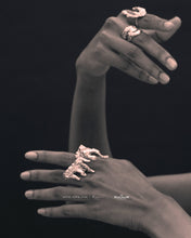 Muat gambar ke penampil Galeri, Melted 06 Ring
