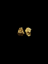 Muat gambar ke penampil Galeri, Magnum Crack 01 Earrings
