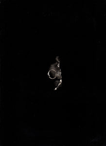 Bara 08 Ring