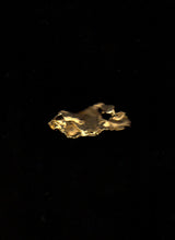 Muat gambar ke penampil Galeri, Bara (08) Brooch
