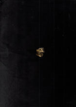 Muat gambar ke penampil Galeri, Crafted Stick 01 Ring
