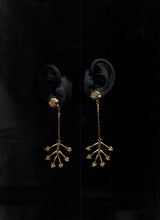 Muat gambar ke penampil Galeri, Pala (00) Earrings
