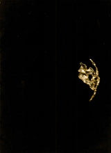 Muat gambar ke penampil Galeri, Rempa Raja Ring
