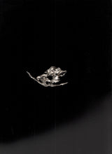 Muat gambar ke penampil Galeri, Rempa Raja Brooch
