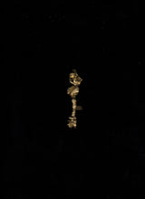 Muat gambar ke penampil Galeri, Redup Long Brooch
