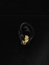 Muat gambar ke penampil Galeri, Keping 02 Earrings
